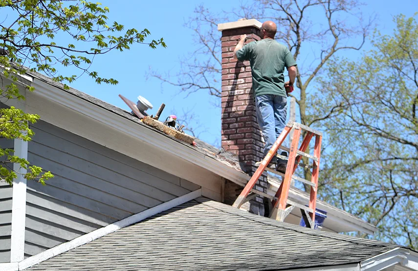 Chimney & Fireplace Inspections Services in Naples, FL